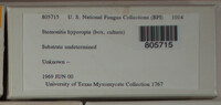Image Associated With the Occurence